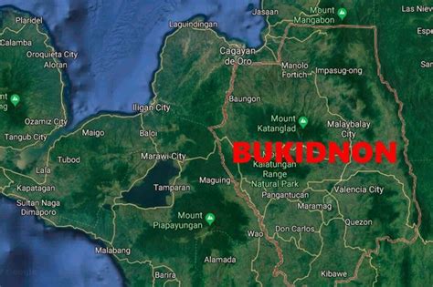 malaybalay scandal|9 NPAs killed in clashes with soldiers in Bukidnon .